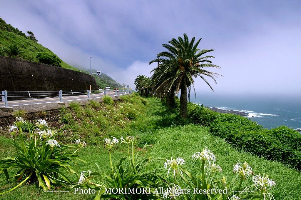 Pulau Jeju, Balinya Korea, indah bget gan,.. &#91; pics &#93;