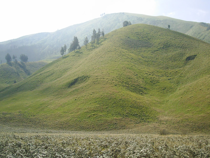 --=!!Bukit Teletubbies!!=--