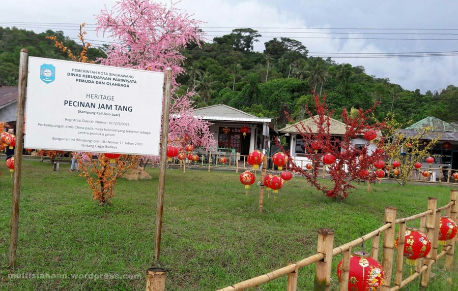 romantisme-bersama-bunga-quotmeihuaquot-saat-imlek-di-singkawang