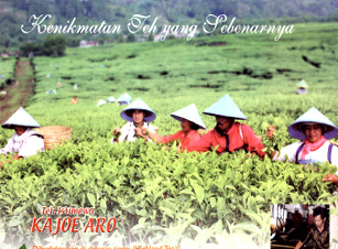 Ini Dia Teh Kualitas Terbaik di Dunia &#91;dari indonesia&#93;