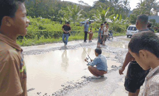 Jalan Pun Ditanami Pohon