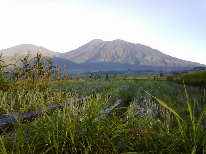 INI DIA 25 GUNUNG BERAPI DI INDONESIA KASKUS