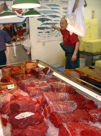 Beginilah Proses Perburuan Ikan Paus Sampai Diolah Menjadi Makanan