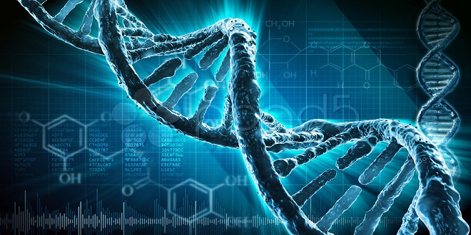 Ilmuwan Menciptakan Ulang DNA Seseorang Yang Meninggal Pada Tahun 1827!