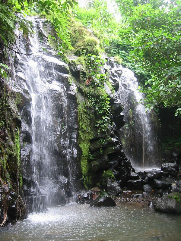 TERANCAM PUNAH Tiga Taman Nasional Warisan Dunia di Bukit Barisan