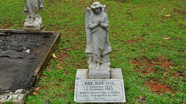 Gie, Demonstrasi, dan Pendakian