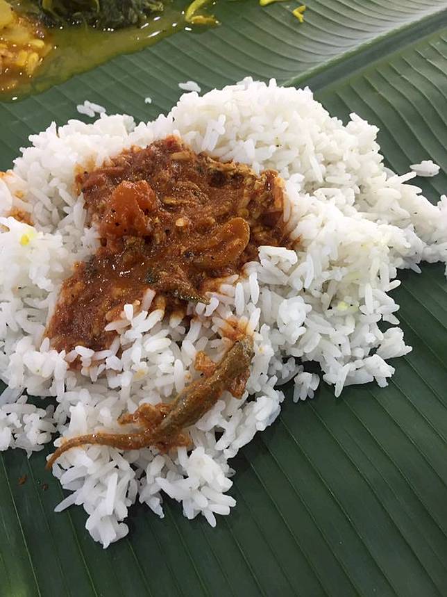 Duhh!, Pembeli Ini Temukan Hal Mengerikan di Nasi Karinya Yang Dibungkus Daun Pisang!