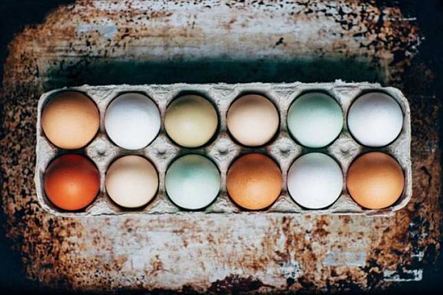 Mengapa Warna Telur Ayam Bisa Berbeda?
