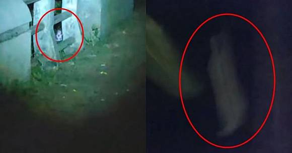 sosok-sosok-hantu-yang-seringkali-tertangkap-kamera-mana-yang-paling-seram