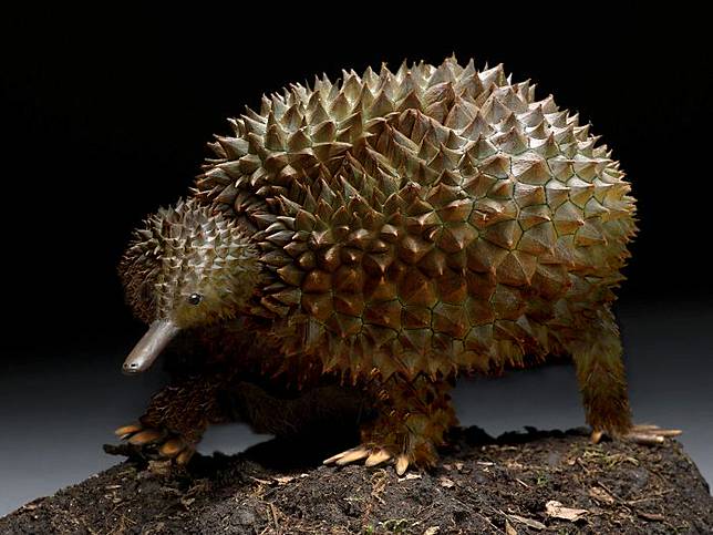 Keren Parah Gan! Ini 10 Editan Ketika Hewan dan Buah 'Jadi Satu'