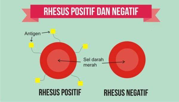 Hanya Dimiliki 43 Orang Di Bumi, Golongan Darah Ini Sangat Berbahaya! 