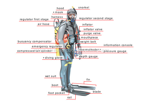 Secuil Ilmu tentang SELAM.... (SCUBA DIVE)