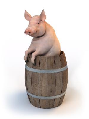 curhat-wali-kota-banjarmasin-tak-punya-dana-bayar-thr-tenaga-honorer