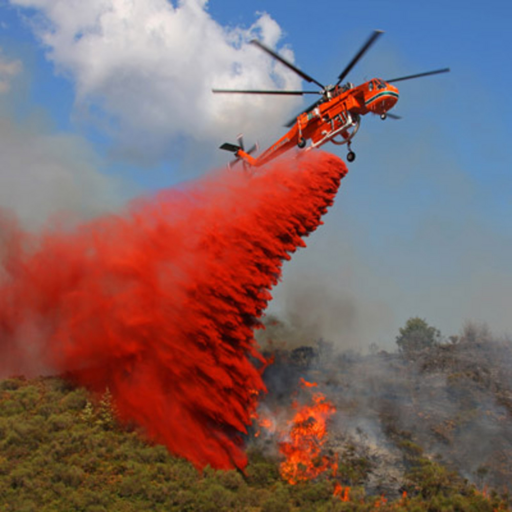 20-hektar-lahan-terbakar-satgas-bencana-asap-riau-lapor-polisi