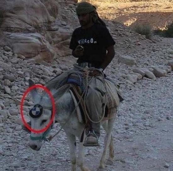 NGAKAK! 7 Foto Ini Bukti Orang Pakistan Punya Selera HUMOR yang Tinggi