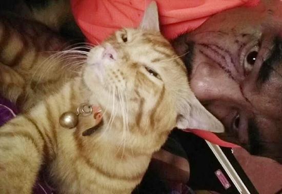 Wajah Rusak Dicakar Kucing