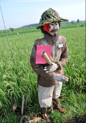 13 Foto Orang-Orangan Sawah yang Bikin Manusia Juga Takut Deketinnya