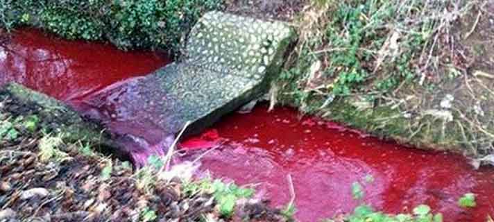 6 Sungai Paling Aneh diDunia