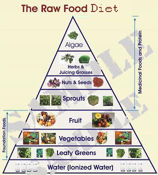 Rawfood Versus Kanker