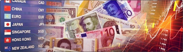 Bergabung Menjadi Partner InstaForex