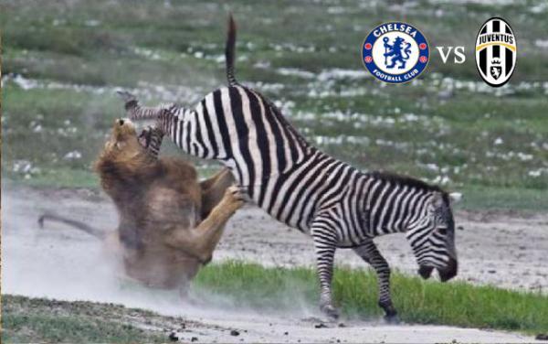 spectre-soccer-room-2012-2013------part-1