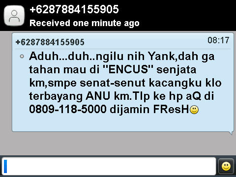 Kumpulan SMS selingkuh ehem ehem yang lucu dan kocak