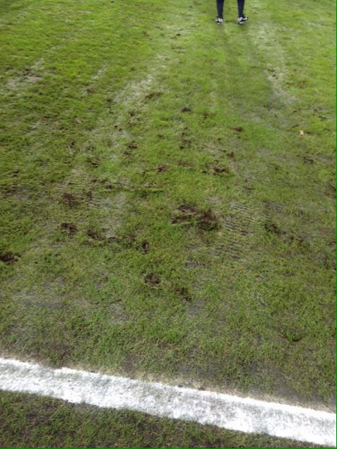 indojuvedoc-juvekaskus--juventus-fc-spa--stagione-2014-2015