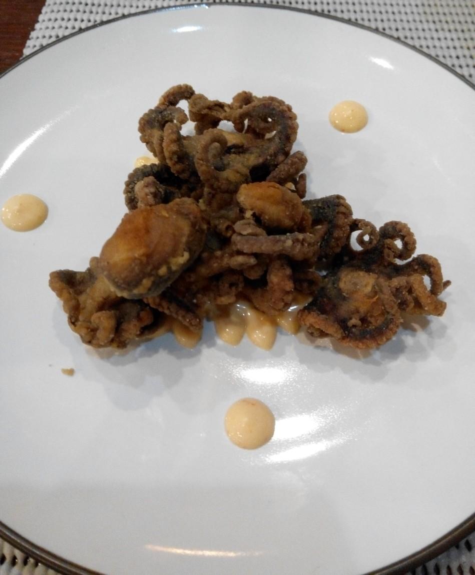 new-and-fresh-warjok-forum-supranatural