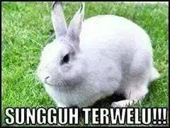 gugat-royalti-lagu-di-youtube-rp-1-miliar-rhoma-irama-gigit-jari