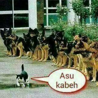 ylki-40-pelanggan-kecewa-dengan-layanan-taksi-online