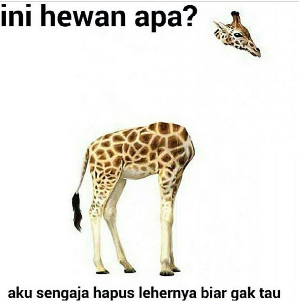 tebak gambar Seruu yang bisa jawab EQ ente tinggi 