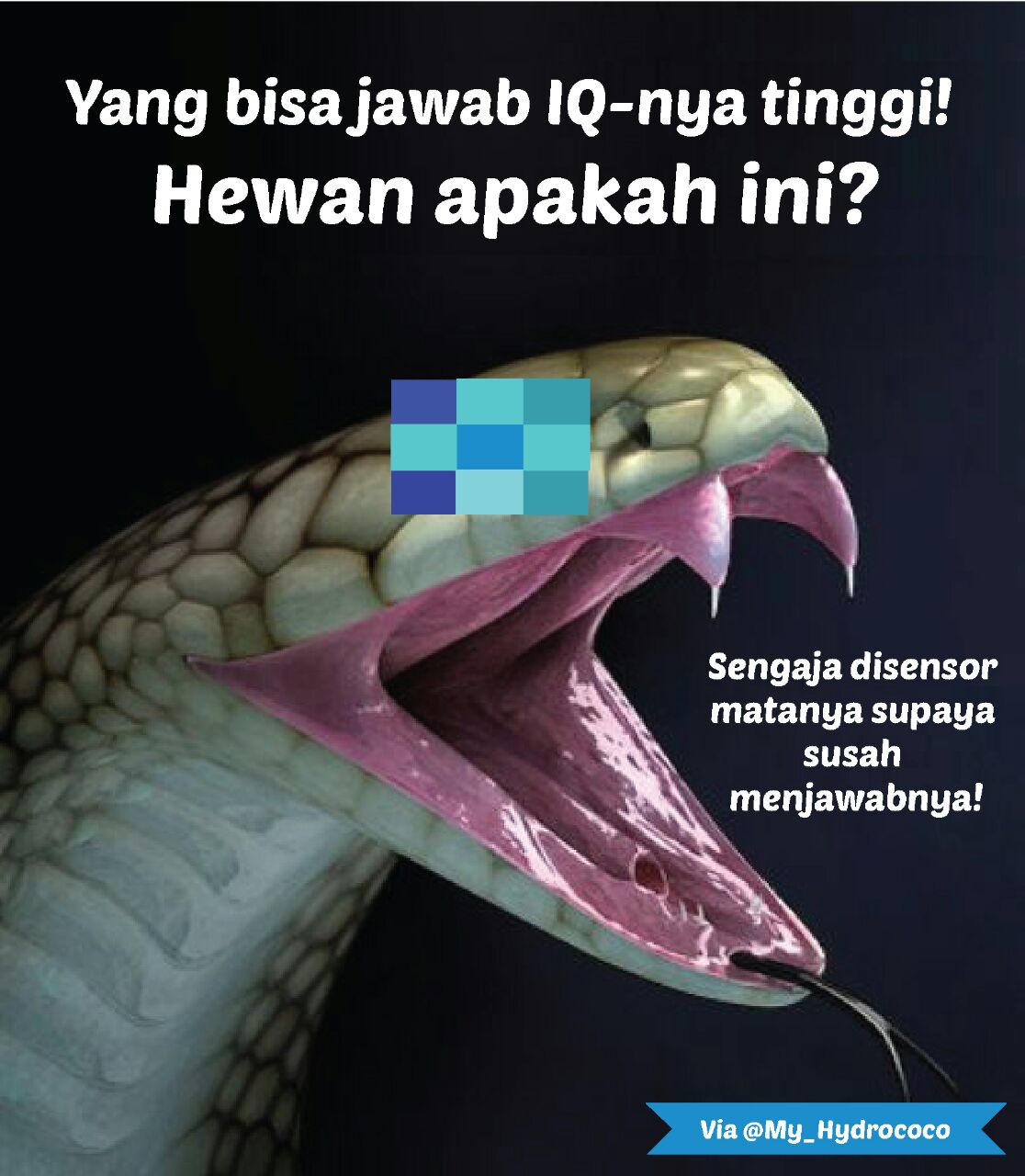 tebak gambar Seruu yang bisa jawab EQ ente tinggi 