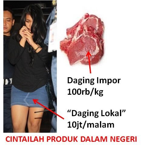 Wow, Inilah Sosok Wanita Panggilan Kader PKS