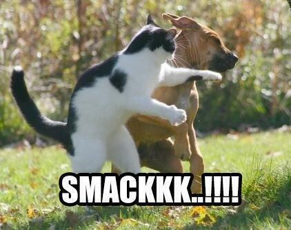 kaskus-jkt48---part-28