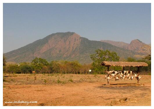&#91;SHARE COST&#93; Yuk Explore Wilayah Timur Jawa (15-16 Maret 2014)