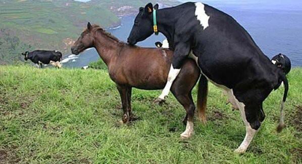 anggota-dprd-pks-dipecat-gegara-isu-selingkuh-dengan-kader-gerindra