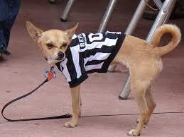 akfc--arsenal-kaskus-fans-club-goonercoaster-season-2015-2016