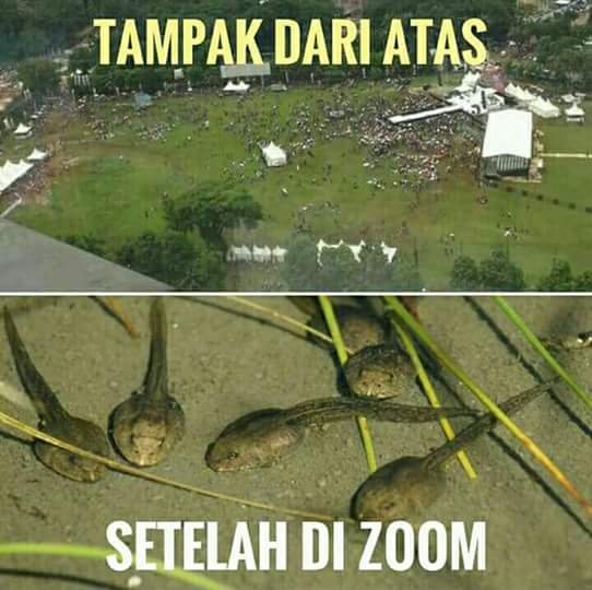 megawati-nanti-ibu-lihat-lho-siapa-yang-bohong