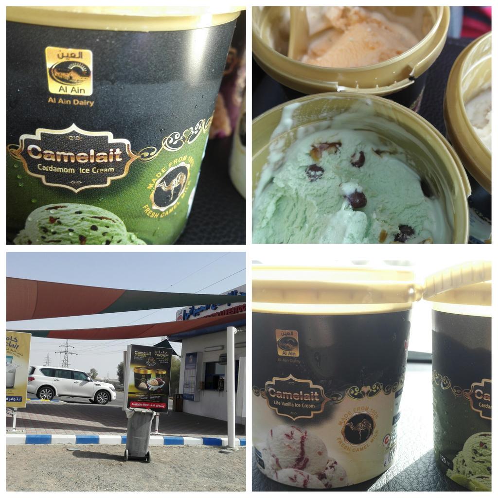 Es Krim Susu Unta, Dessert Sehat nan Unik yang Mulai Menarik Perhatian Dunia