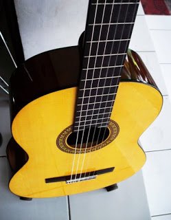Gitar Yamaha C315