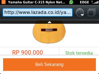 Gitar Yamaha C315