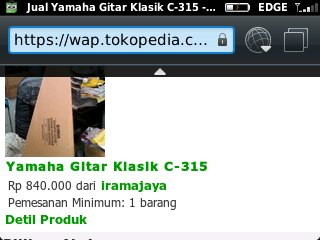 Gitar Yamaha C315