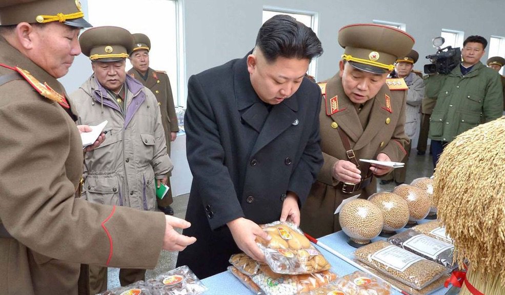 Kegiatan-kegiatan yang dilakukan pada Hari Kejepit Nasional di Korea Utara