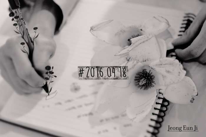 k-pop-a-pink---kaskus-pink-panda