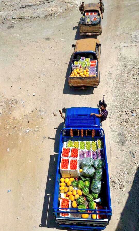 all-about-konflik-timur-tengah-dan-afrika-utara-menghadapi-terorisme-part-3