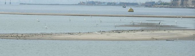 &#91;keren gan&#93; tweet Poltak Hotradero @hotradero tentang keadaan pulau g sekarang