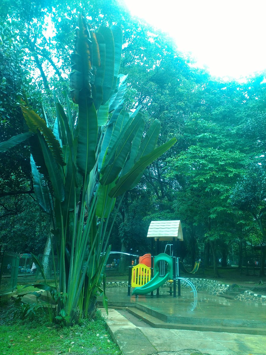 ini-cara-ahok-beri-piknik-gratis-ke-warga-dki