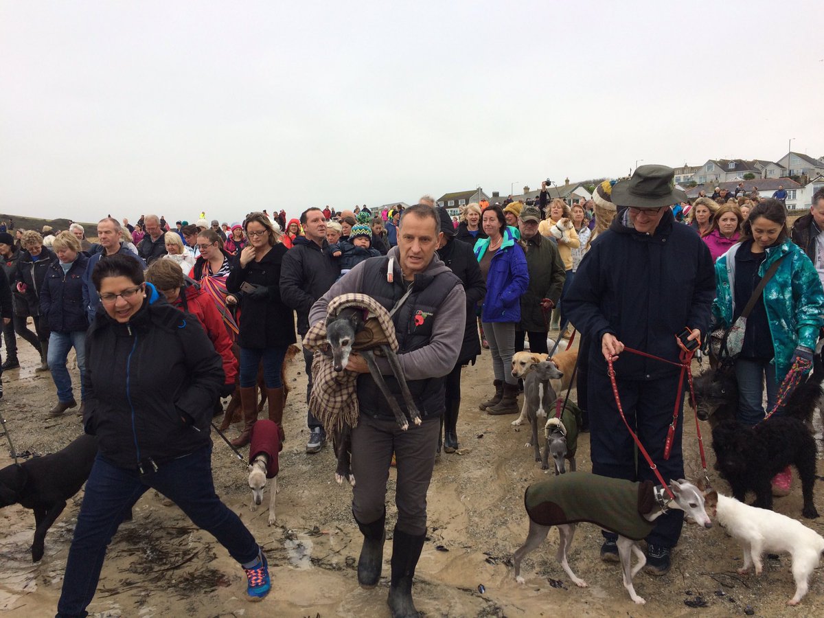 Hundreds Joined Walnut The Dog For His Heartbreaking Last Walk On The Beach