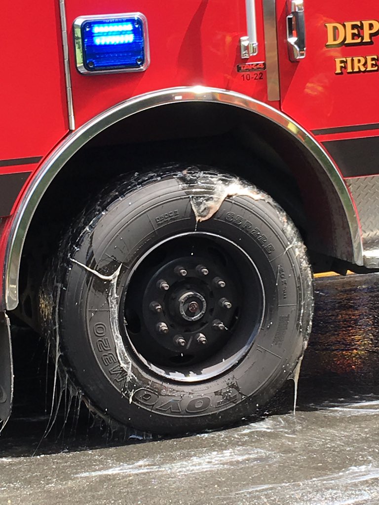 Penampakan Tol di Amerika 'Mandi' Lendir Belut
