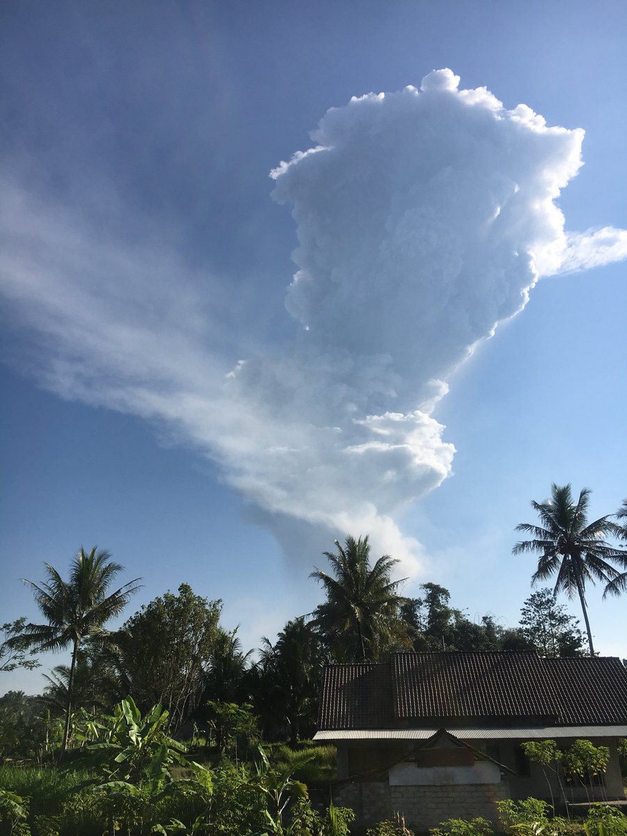 Merapi Bergemuruh dan Keluarkan Asap Putih Tinggi Pagi Ini